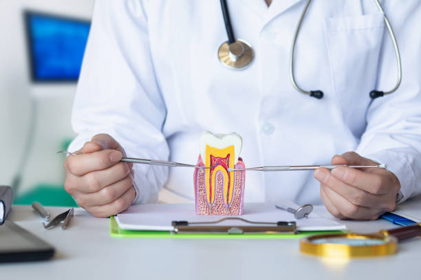 Best Pediatric Emergency Dentist in Crescent City, FL